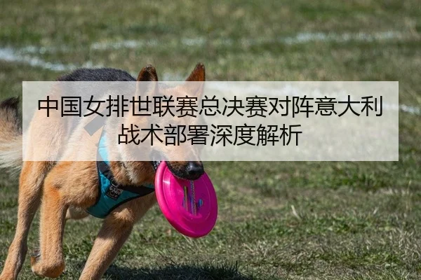 中国女排世联赛总决赛对阵意大利战术部署深度解析